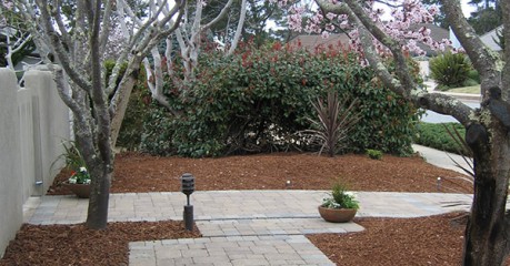 Patio & Walks